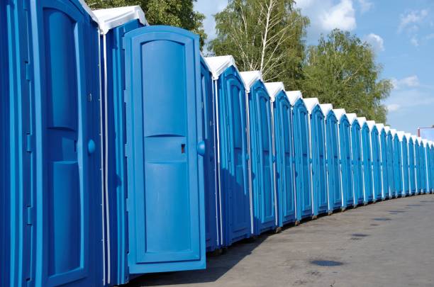 Best Porta potty delivery and setup  in Lakeview, NY